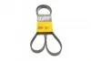 Ремень поликлиновой Conti 5PK1570
