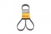 Ремень поликлиновый (5PK1646) ContiTech