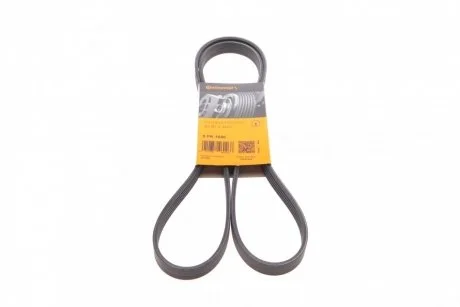 Ремень поликлиновый Contitech 5PK1646
