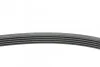 Пас поліклиновий Opel Astra G/H 2.0 05-10/Insignia Contitech 5PK1680 (фото 2)