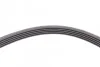 Пас поліклиновий Renault Kangoo/Megane/Logan 1.4/1 Contitech 5PK1750 (фото 4)