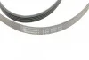 Пас поліклиновий Hyundai Accent/Getz/i30/Kia Rio/C Contitech 5PK1800 (фото 4)