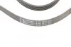 Ремень генератора BMW/Hyundai/KIA Contitech 5PK1815 (фото 4)