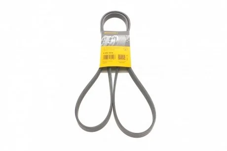 Ремень генератора BMW/Hyundai/KIA Contitech 5PK1815