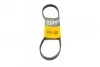 Ремень поликлиновый (5PK847) ContiTech