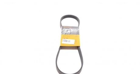Ремень поликлиновой Conti Contitech 5PK890