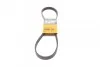 Ремень поликлиновой Conti 6PK1029 ELAST
