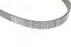Пас поліклиновий Ford Fiesta VI 1.25-1.6Ti 08- Contitech 6PK1033 ELAST (фото 4)