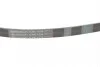 Ремінь поліклиновий Lexus RX300 03>08 Contitech 6PK1038 (фото 3)