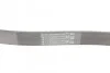 Ремень поликлиновой Conti Contitech 6PK1042 ELAST (фото 3)