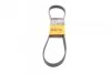 Ремень генератора C-MAX/Focus 1.4/1.6i/Ti 03- CONTITECH 6PK1059 ELAST