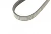 Полікліновий ремінний комплект Contitech 6PK1059 ELAST T2 (фото 3)