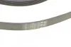 Полікліновий ремінний комплект Contitech 6PK1059 ELAST T2 (фото 4)