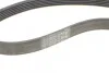 Полікліновий ремінний комплект Contitech 6PK1059 ELAST T2 (фото 8)