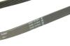 Доріжковий пас Contitech 6PK1073 EXTRA (фото 4)