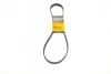 Ремень поликлиновой Conti 6PK1105