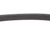 Доріжковий пас Contitech 6PK1120EXTRA (фото 3)