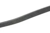 Доріжковий пас Contitech 6PK1124ELAST (фото 3)