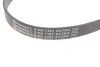 Доріжковий пас Contitech 6 PK 1157 EXTRA (фото 2)
