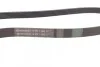 Ремень генератора Jumper/Boxer 3.0 HDi Contitech 6PK1165 (фото 2)