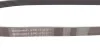 Пас поліклиновий Citroen Jumper/Fiat Ducato 2.0/2. Contitech 6PK1173 (фото 2)