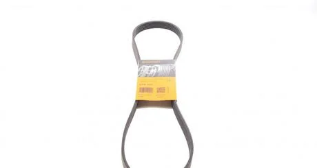 Ремень генератора Jumper/Boxer/Ducato 2.0/2.2 HDi 02- Contitech 6PK1173