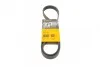 Ремень поликлиновой Conti 6PK1205
