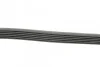 Пас поліклиновий Peugeot Partner 1.6 VTi 08- (-AC) Contitech 6PK1205 (фото 2)