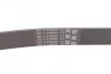 Ремінь поліклиновий Toyota Rav4 2,0i 08>12, Corolla 1,6i 07>13, 13> Contitech 6PK1230 (фото 2)