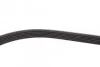 Ремінь поліклиновий Toyota Rav4 2,0i 08>12, Corolla 1,6i 07>13, 13> Contitech 6PK1230 (фото 4)
