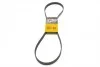 Ремень поликлиновой Conti 6PK1256
