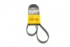 Ремень поликлиновой Conti 6PK1264