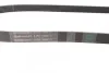 Ремень генератора Berlingo/Partner 1.6HDI (-AC) ch.10571&gt; Contitech 6PK1360 (фото 2)