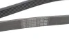 Поклиновий ремень Contitech 6PK1401EXTRA (фото 4)