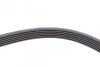 Пас поліклиновий Ford Connect 1.8TDCI Contitech 6PK1413 (фото 4)