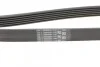 Ремінь поліклиновий PSA Berlingo Jumpy 1,9D 98> Contitech 6PK1440 (фото 3)