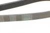 Ремень поликлиновой Conti Contitech 6PK1448 (фото 3)