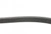 Пас поліклиновий BMW 3 (E36) 3.0/3.2 94-99/Mitsubi Contitech 6PK1515 (фото 2)