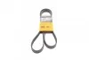 Ремень поликлиновой Conti 6PK1520