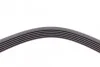 Пас поліклиновий Ford Focus 1.8 TDCi 05-12/Skoda O Contitech 6PK1520 (фото 3)