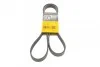 Ремень поликлиновой Conti 6PK1548