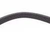 Пас поліклиновий VW T5/T6 2.0TSI 11- Contitech 6PK1580 (фото 4)