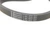 Комплект ременя генератора CONTINENTAL Contitech 6PK1642K3 (фото 4)