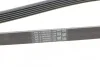 Ремень генератора LT 2.8 02&gt; Contitech 6PK1680 (фото 4)