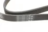 Ремінь поліклиновий VW LT 2,5TDI, Ford Connect 1,8D 02>07 Contitech 6PK1715 (фото 3)