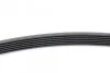 Пас поліклиновий Audi A4/A6/A8 2.4/2.6/2.8 95- Contitech 6PK1880 (фото 2)