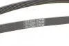 Пас поліклиновий Audi A4/A6/A8 2.4/2.6/2.8 95- Contitech 6PK1880 (фото 3)