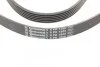 Пас поліклиновий Audi A4/A6/A8 2.4/2.6/2.8 95- Contitech 6PK1880 (фото 4)