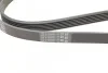 Пас поліклиновий VW T4 2.0i 91-03/Opel Vectra 2.2 Contitech 6PK1900 (фото 3)