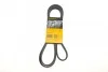 Ремень поликлиновой Conti 6PK2125